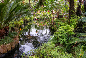 Japanese gardens in Monti palace gardens, Funchal, Madeira, Portugal, Europe