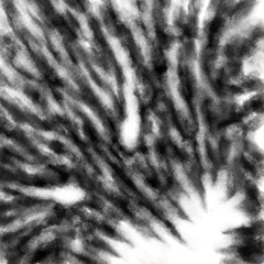 Scary dark muzzle with opened jaws. Black and white illustration in horror genre with coal and noise effect.