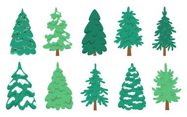 Christmas tree set. Collection of green fir for christmas