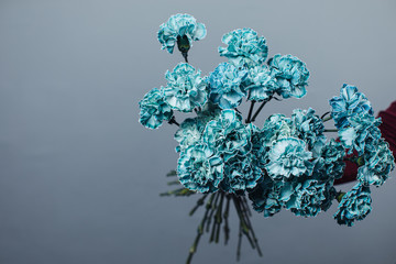 Beautiful bouquet of tinted dyed carnations. Flower delivery © Сергей Уланов