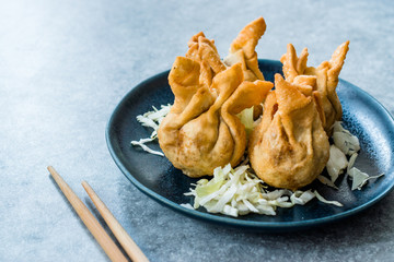 Nepalese Traditional Deep Fried Dumpling Momos served with Tomato Chutney, Schezwan sauce and Cabbage salad.