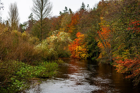 Bush River, Ballymoney, Northern Ireland