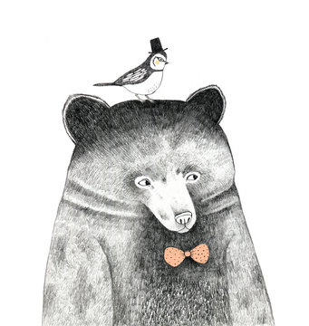 bear with a bird on his head - pencil drawing