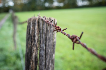 Stacheldraht und Holzpflock