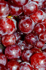 Red grapes soaked in a fruit bath before eating