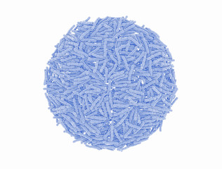 Streptococcus pneumonia bacteria cells. Microscopic. Isolated on white.