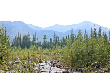 Mountain river landscape in Siberia - stream of a mountain river running between mountains in summer.  East Saiyan, Russia.