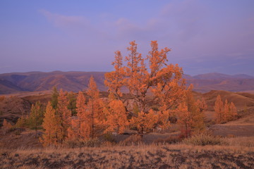 Fototapeta premium autumn in the mountains