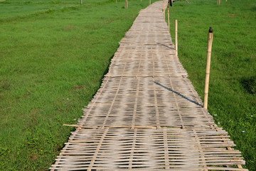 Wooden path at green rice organic field and bamboo bridge, The beautiful scene, sunset summer evening