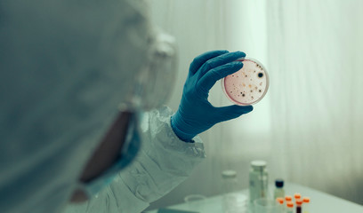 Unrecognizable scientist examining virus in petri dish in a laboratory - obrazy, fototapety, plakaty