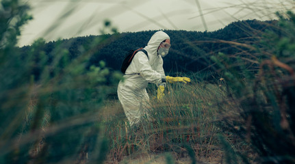 Obraz premium Woman in bacteriological protective suits searching among the vegetation
