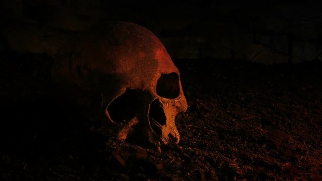 Old Skull On The Ground In Fire Glow