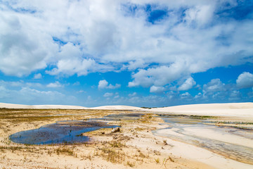 Shallow stream of water in  brazilian oasis