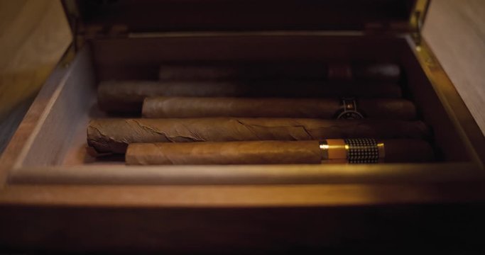 Cigar is placed in a brown humidor and then closed