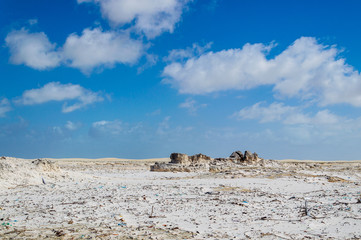 Dry sandy panorama in brazilian desert