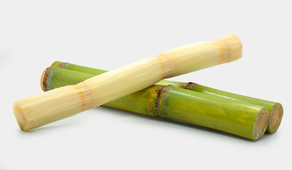 Fototapeta na wymiar Sugar cane isolated on white background 