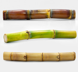 Fototapeta premium Sugar cane isolated on white background 