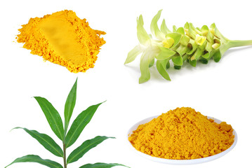 Turmeric powder with leaf and flower isolated on white