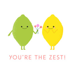 Vector illustration of a cute lemon and lime with kawaii faces. You're the Zest! Cute food concept.