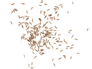 Scattered cumin seeds isolated on white background with copy space for text or images. Spices and herbs. Packaging concept. Close-up.