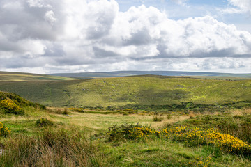 Fototapeta premium Landscape of Dartmoor National Park in late summer