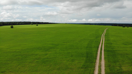 Rural road that goes through green meadows and fields. Sunny summer day