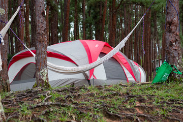 Tent in forest