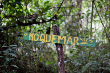 Green sign in forest