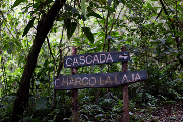 Wooden sign in forest