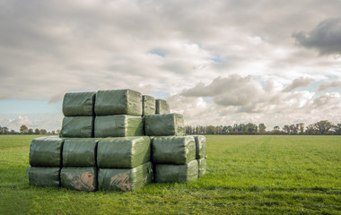 Green packs of hay stacked in the grass