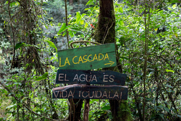 Wooden sign in forest