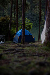 Tent in the forest
