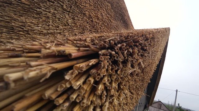The thatch roofing, reed roof on the house. Natural building materials.