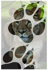 Low poly illustration of a lioness inside of lion paw marks