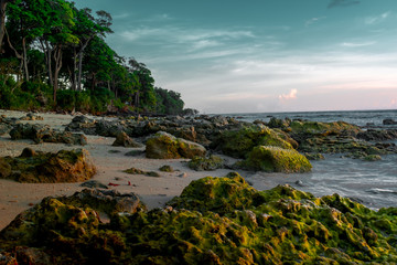 Fototapeta na wymiar beach in andaman