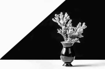 Coral branch in an antique vase on a black and white background