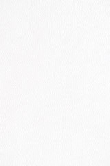  The texture of genuine leather. White color. Snow background.