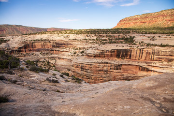 Horsecollar Ruins Trail in Natural Bridges National Monuments provides an excellent view of the...