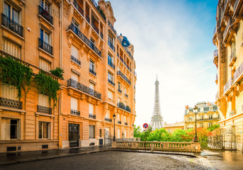 Fototapeta premium wycieczka po eiffla i ulica Paryża