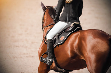 A girl rider on a Bay sleek horse gallops across a sandy field, illuminated by sunlight.