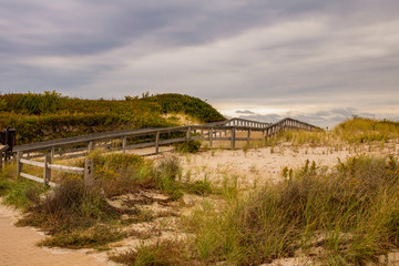 State Parks are a great resource to be able to compare areas more rustic to those perhaps overused by people. This Island State Beach park at the New Jersey shore was beautifully natural with silky sa