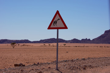 giraffe road sign in desert