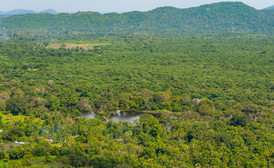 Obraz premium Landscape of Sri Lankan Jungle, Sigiriya, Sri Lanka