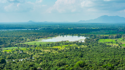 Fototapeta na wymiar Landscape of Sri Lankan Jungle, Sigiriya, Sri Lanka