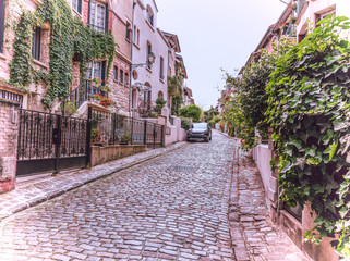 Paved street in Paris
