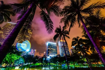 Fototapeten Wolkenkratzer und Palmen im Miami Bayfront Park © Gabriele Maltinti