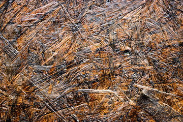 Decorated wood chipboard. Imitation of an old tree. Rough surface. Concept for design of the old surface.