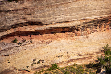 Anasazi Cliff dwelling tucked into the face of this cliff can be seen from an overlook on Horse Collar Canyon Trail in Natural Bridges National Monument, Utah