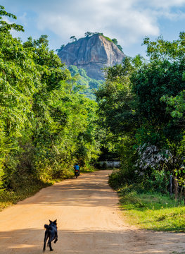 Lion Rock in Sigiriya, Sri Lanka