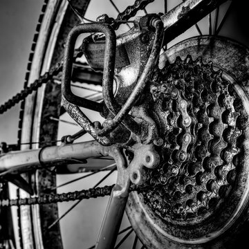 mountain bike rear wheel in hdr